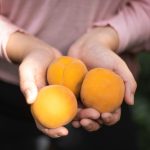 Frau die drei Aprikosen in der Hand hält